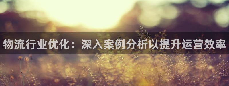 28圈玩法：物流行业优化：深入案例分