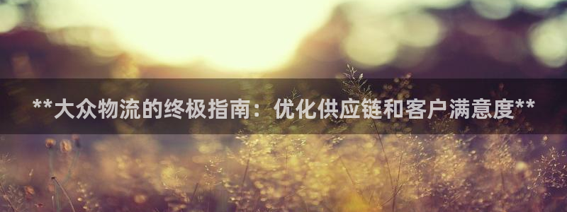 28圈游戏官网平台：**大众物流的终