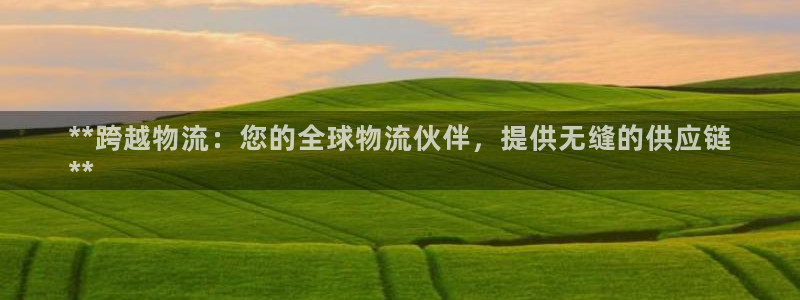 28圈注册与教程：**跨越物流：您的