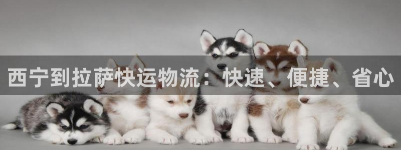 28圈模拟器：西宁到拉萨快运物流：快
