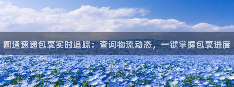 28圈比特28预测在线预测：圆通速递