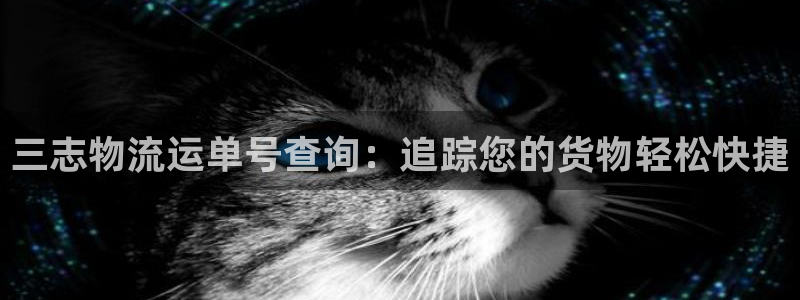 28圈的自行车：三志物流运单号查询：