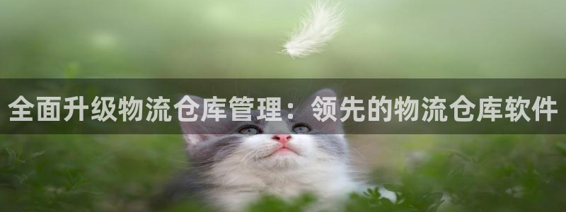 28圈充值为什么充不了：全面升级物流