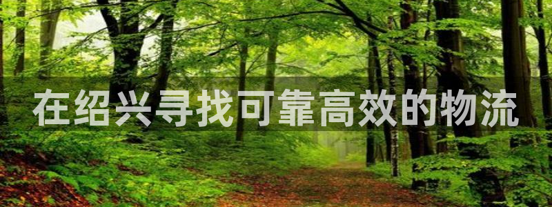 28圈加拿大app预测：在绍兴寻找可
