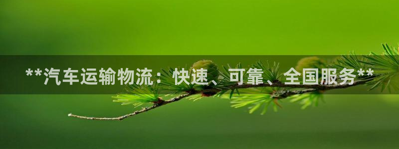 28圈ccm游戏：**汽车运输物流：