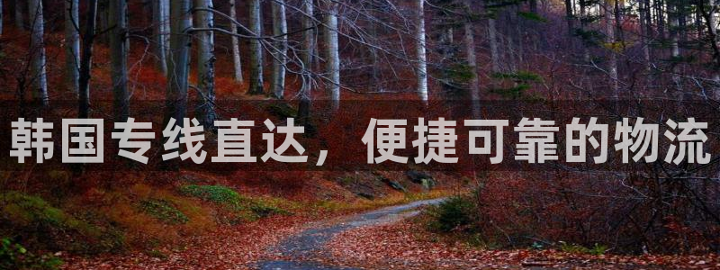 28圈p扣款什么意思