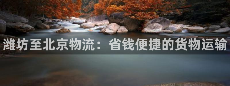 28圈p扣除是什么意思