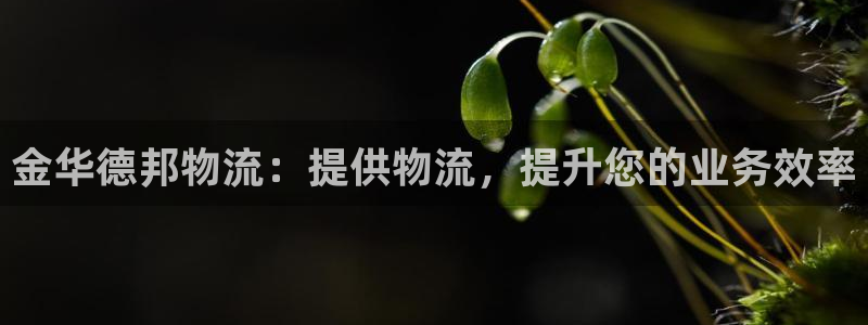 28圈模拟器下载