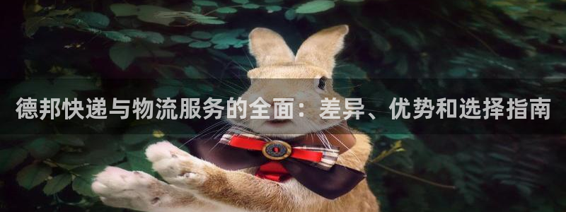 28圈是干嘛的：德邦快递与物流服务的