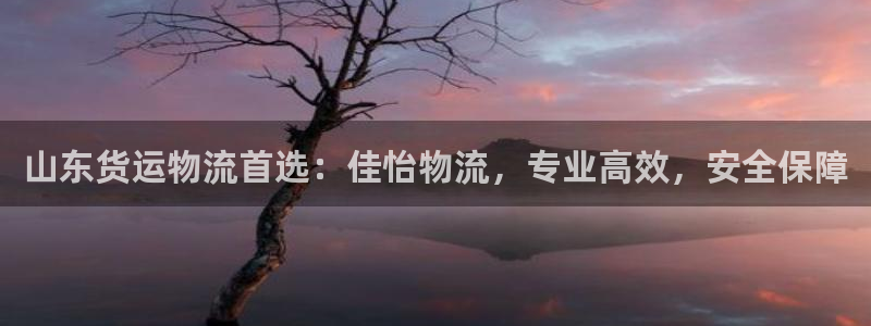 28圈加拿大是什么意思：山东货运物流