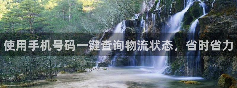 28圈官网版所有版本：使用手机号码一
