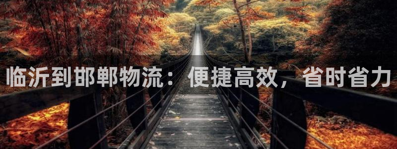 28圈加拿大：临沂到邯郸物流：便捷高