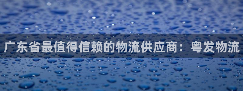 28圈加拿大28：广东省最值得信赖的