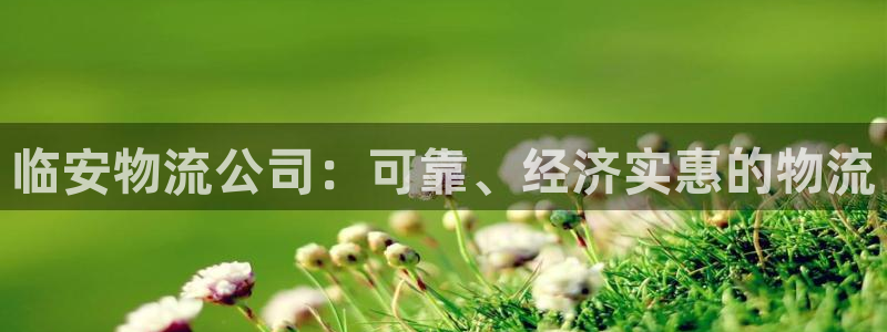 28圈加拿大是什么意思