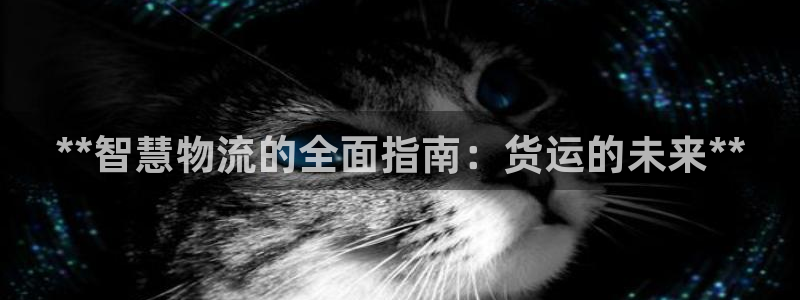 28圈那个才是充值账号