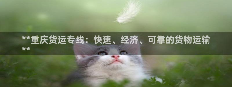 28圈为什么没有赢过一次