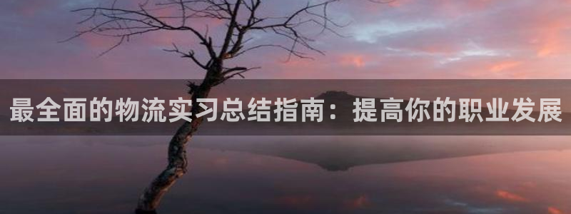 28圈南宫娱乐官网：最全面的物流实习