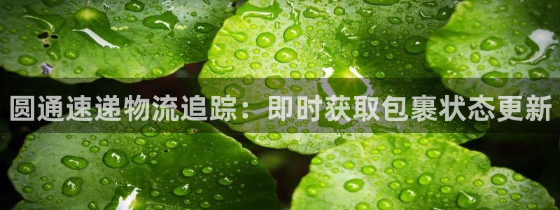 28圈的平台：圆通速递物流追踪：即时