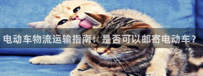 28圈推广链接是多少钱一个：电动车物