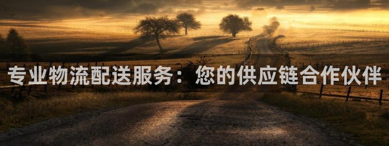 28圈初始资金密码在哪里改：专业物流