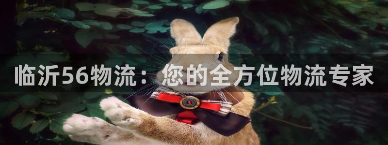 28圈连接：临沂56物流：您的全方位