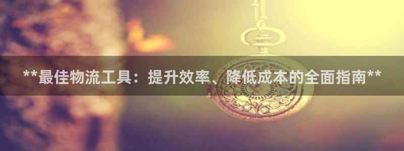 28圈pg麻将胡了：**最佳物流工具