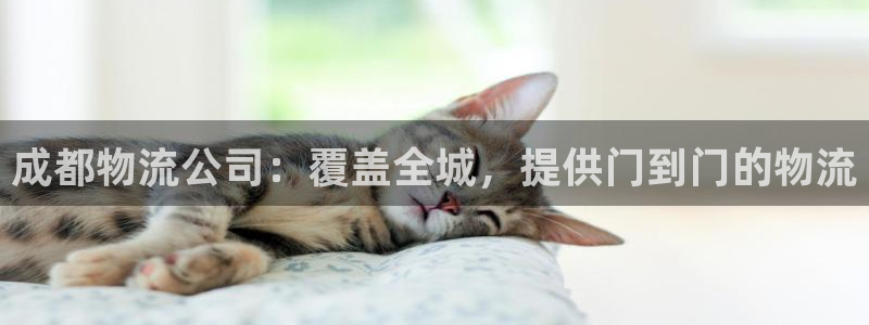 28圈预测网