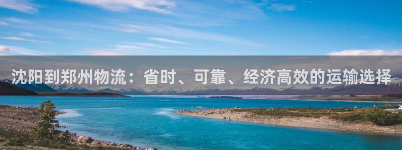 28圈系统自动保护：沈阳到郑州物流：