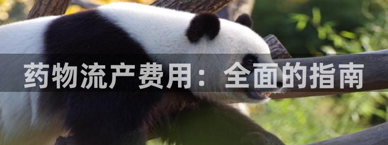 28圈怎么注册：药物流产费用：全面的