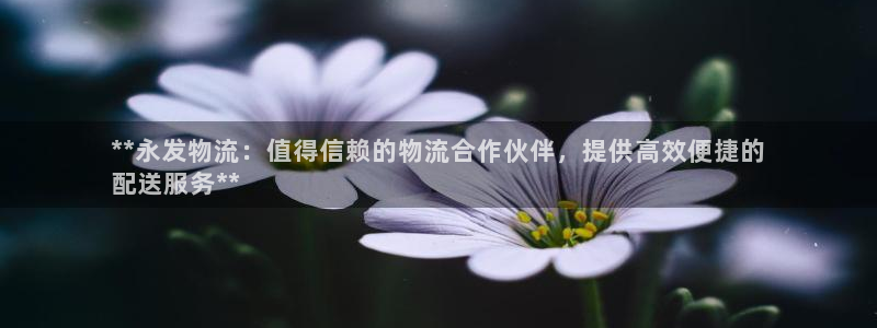 28圈初始资金密码是什么：**永发物