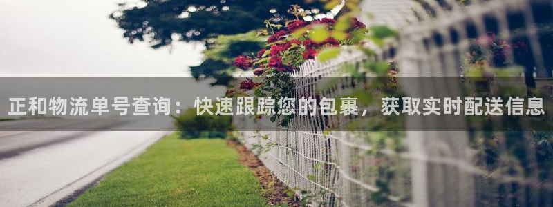 28圈模拟器