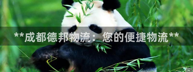 28圈是正规软件吗：**成都德邦物流
