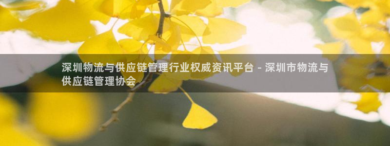 28圈官方官网：深圳物流与供应链管理