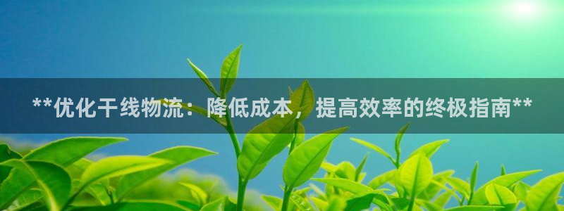 28圈怎么注册账号：**优化干线物流
