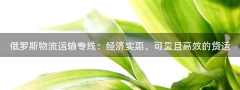 28圈软件是什么：俄罗斯物流运输专线
