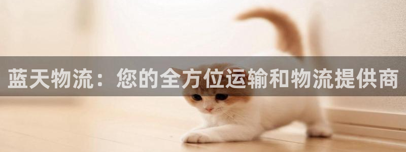 28圈电子游戏：蓝天物流：您的全方位