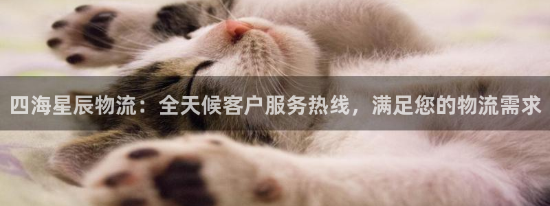 28圈加拿大pc预测