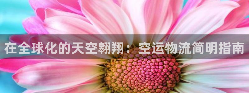 28圈登录：在全球化的天空翱翔：空运