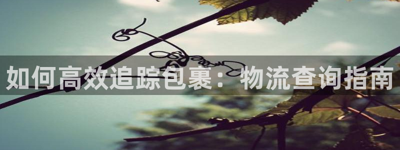 28圈注册号：如何高效追踪包裹：物流