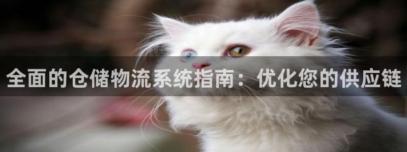 28圈免费充钱：全面的仓储物流系统指