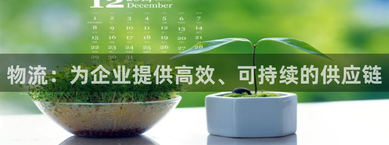 28圈官方平台：物流：为企业提供高效