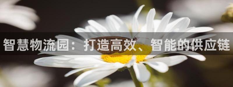 28圈加拿大是什么