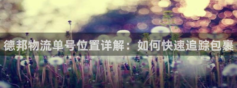 28圈ccm游戏：德邦物流单号位置详