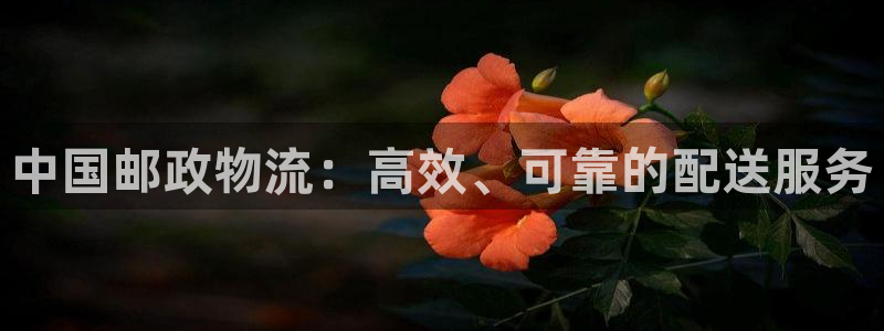 28圈是什么是赌博吗?：中国邮政物流
