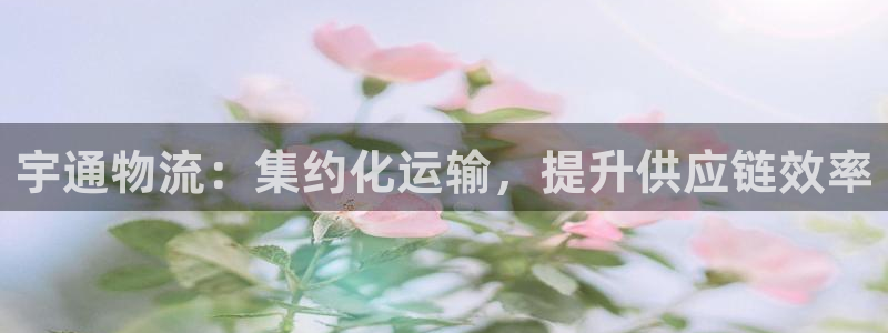 28圈绿骨头：宇通物流：集约化运输，