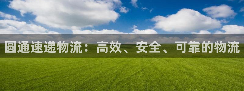 28圈连输10天：圆通速递物流：高效