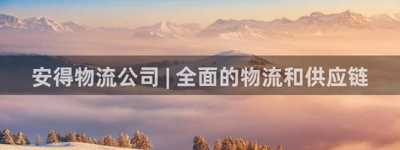 28圈注册：安得物流公司 | 全面的