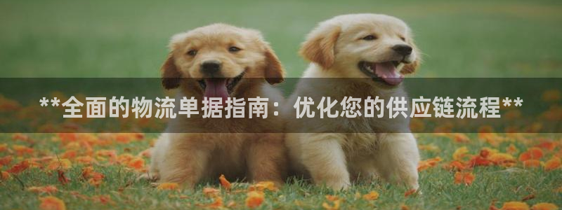 28圈旗下：**全面的物流单据指南：