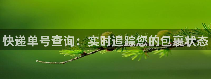 28圈：快递单号查询：实时追踪您的包