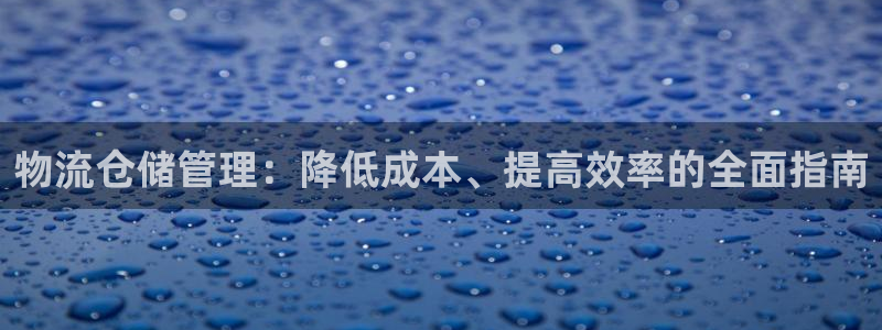 28圈麻将胡了在线试玩：物流仓储管理